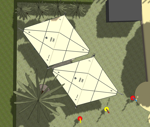 Reference Image